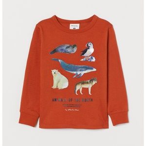 H&M boys winter animal tee